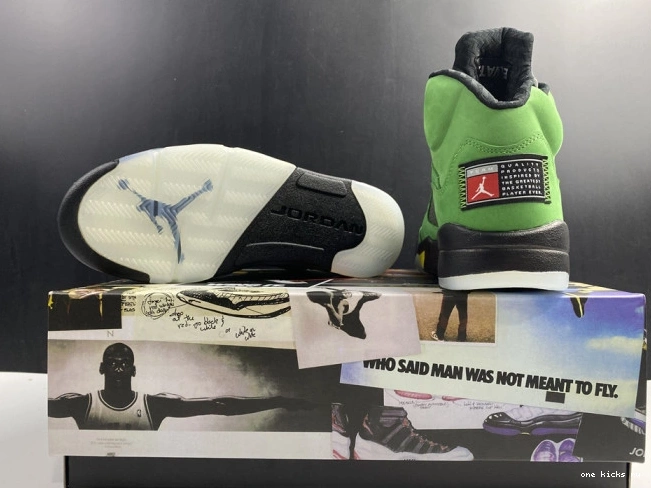 Rep Onekick Oregon 5 Ducks SE Jordan CK6631-307 Air 0719